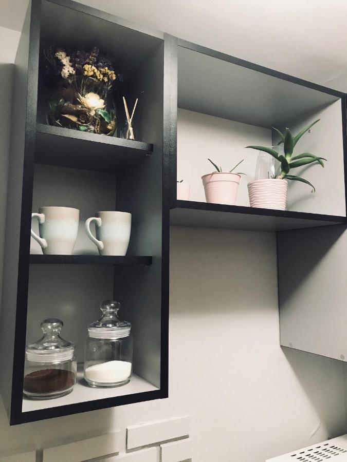 Iren Smart Apartment Lviv Bagian luar foto